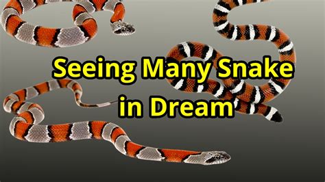 snake dream number|dream about a huge snake.